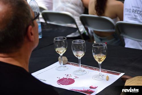 FM_Dissabte_Mercat de la Vinya - Tast de vi_02